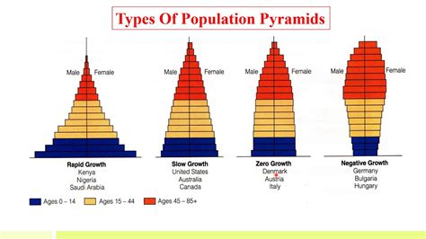 What is Population Composition and How Does it Shape Societal Dynamics?